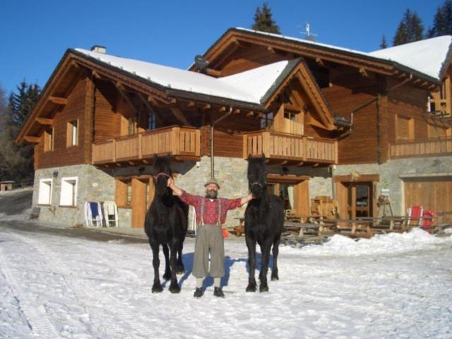 Agriturismo Chalet Caribona Villa Valdisotto Eksteriør billede